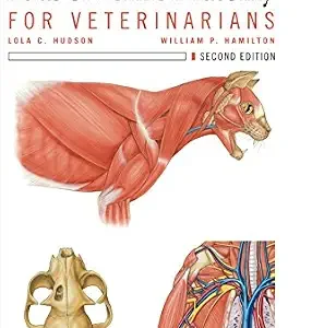 خرید و دانلود نسخه کامل کتاب Atlas of Feline Anatomy For Veterinarians