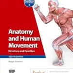 خرید و دانلود نسخه کامل کتاب Anatomy and Human Movement – E-Book: Structure and function (Physiotherapy Essentials)