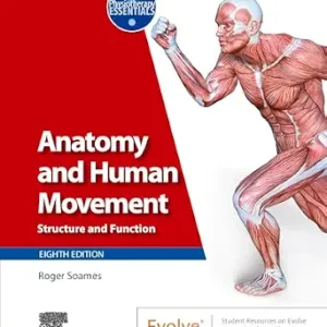 خرید و دانلود نسخه کامل کتاب Anatomy and Human Movement – E-Book: Structure and function (Physiotherapy Essentials)